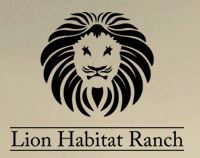 Henderson summer camps
